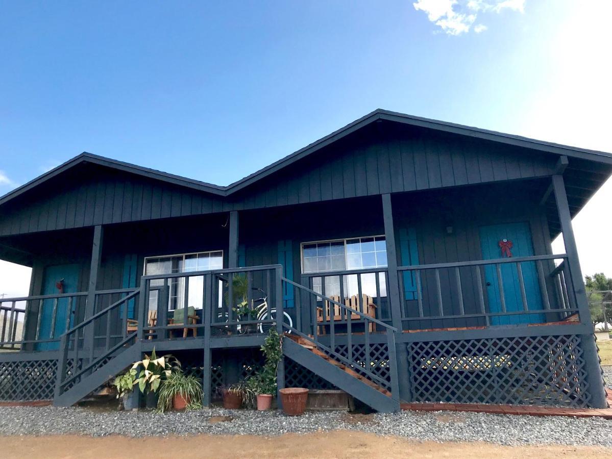 Bajo El Sol Del Valle Valle de Guadalupe Bagian luar foto