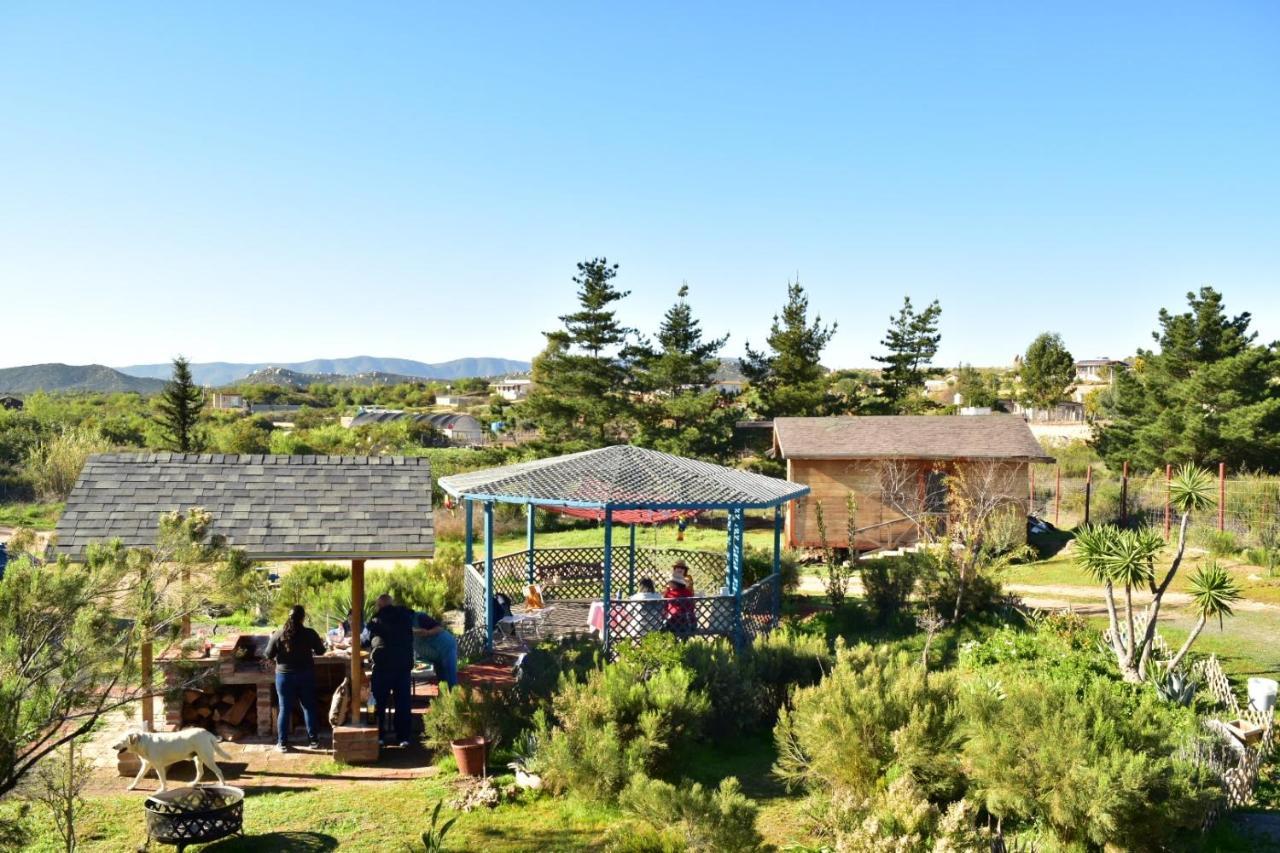 Bajo El Sol Del Valle Valle de Guadalupe Bagian luar foto